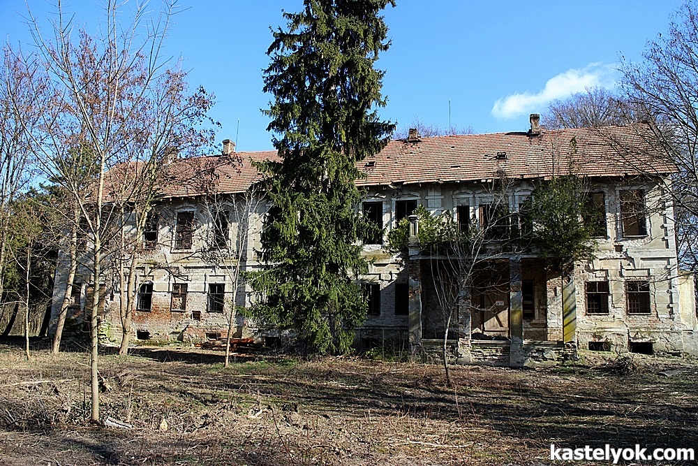 Mádi-Kovács kastély - Gerjen Mádi-Kovács kastély - Gerjen - KASTELYOK.COM